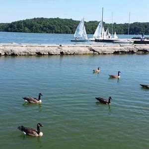 Meet your Posher, Michele